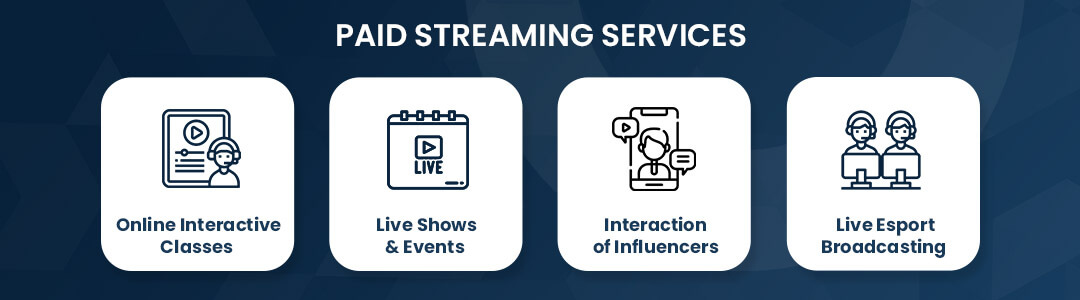 Paid Streaming Services