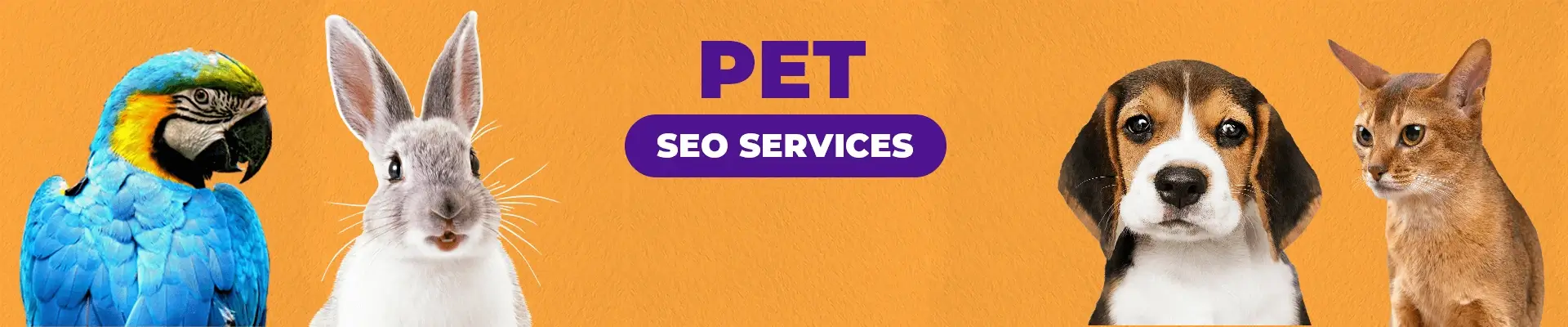 Best Pet SEO Services Company | Pet SEO Expert For Hire