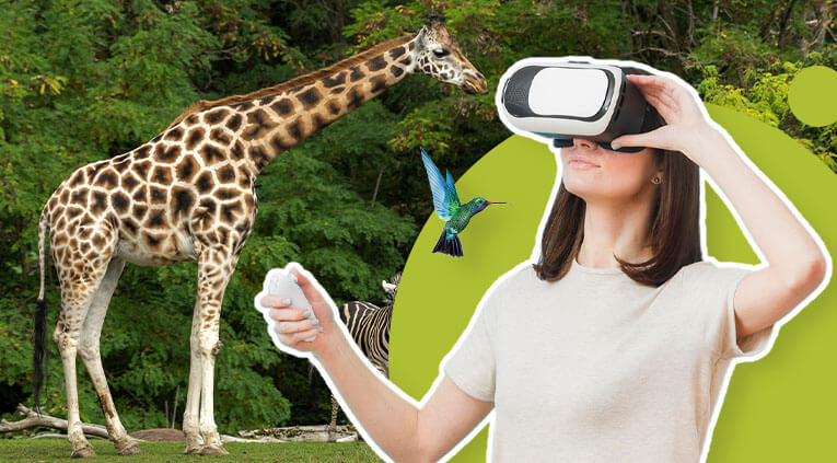 How Advanced Technologies Can Help Zoo's In Enhancing Customer Experience?  [2022]