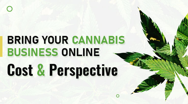 How to Develop & Grow Your Cannabis Business Online? [2022]