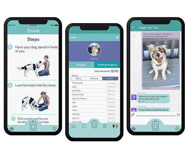 Cost to Develop Dog Training App like Puppr | Cost to Build Puppr Clone App