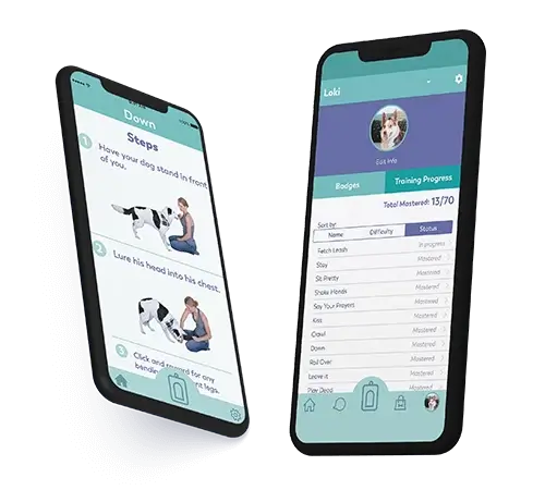 Why Choose AGS as the App Development Partner to Develop Dog Training App like Puppr