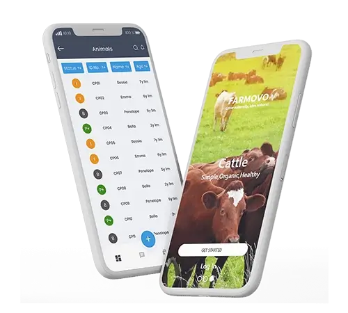 Why Choose AGS as the App Development Partner to Develop Livestock Cattle Tracking System