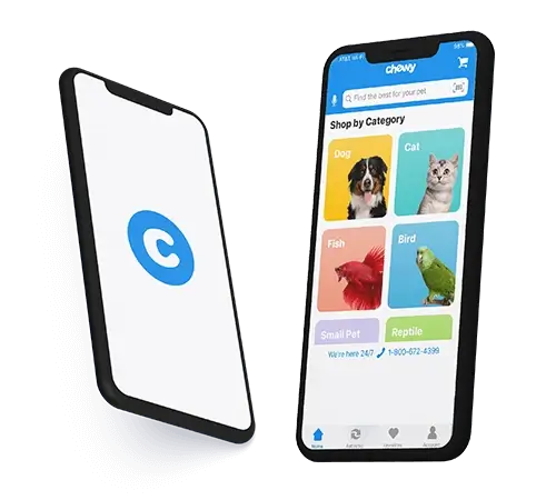 Why Choose AGS as the App Development Partner to Develop an E-Commerce App Like Chewy for Pets