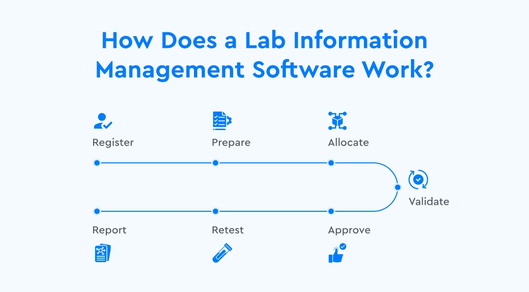 How Does a Lab Information Management Software Work